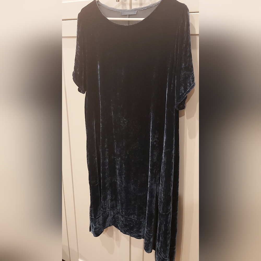 Cut Loose Elegant Velvet Dress - Picture 2 of 7